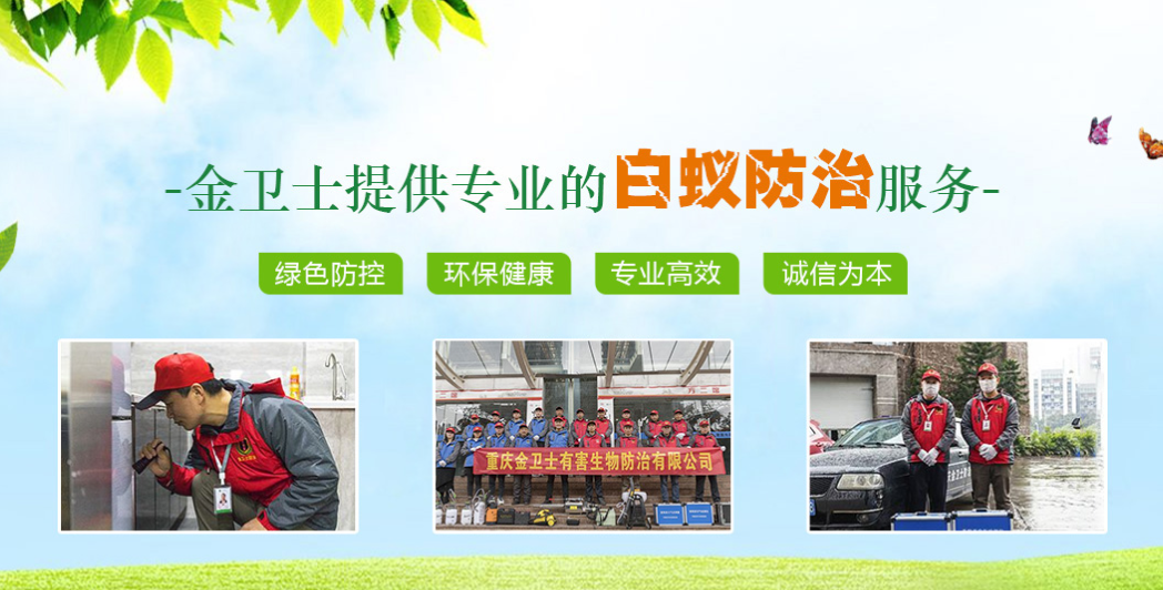丑陋的蟑螂看起來很可怕。如何解決這種情況？