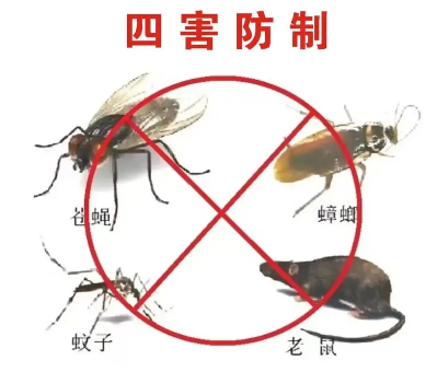 消殺公司怎么看專業(yè)不專業(yè)？
